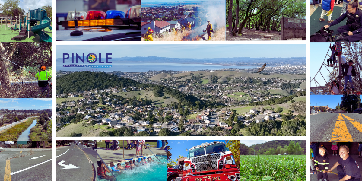 Featured image for Potential Ballot Measure 2024